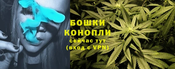 МДПВ Волоколамск